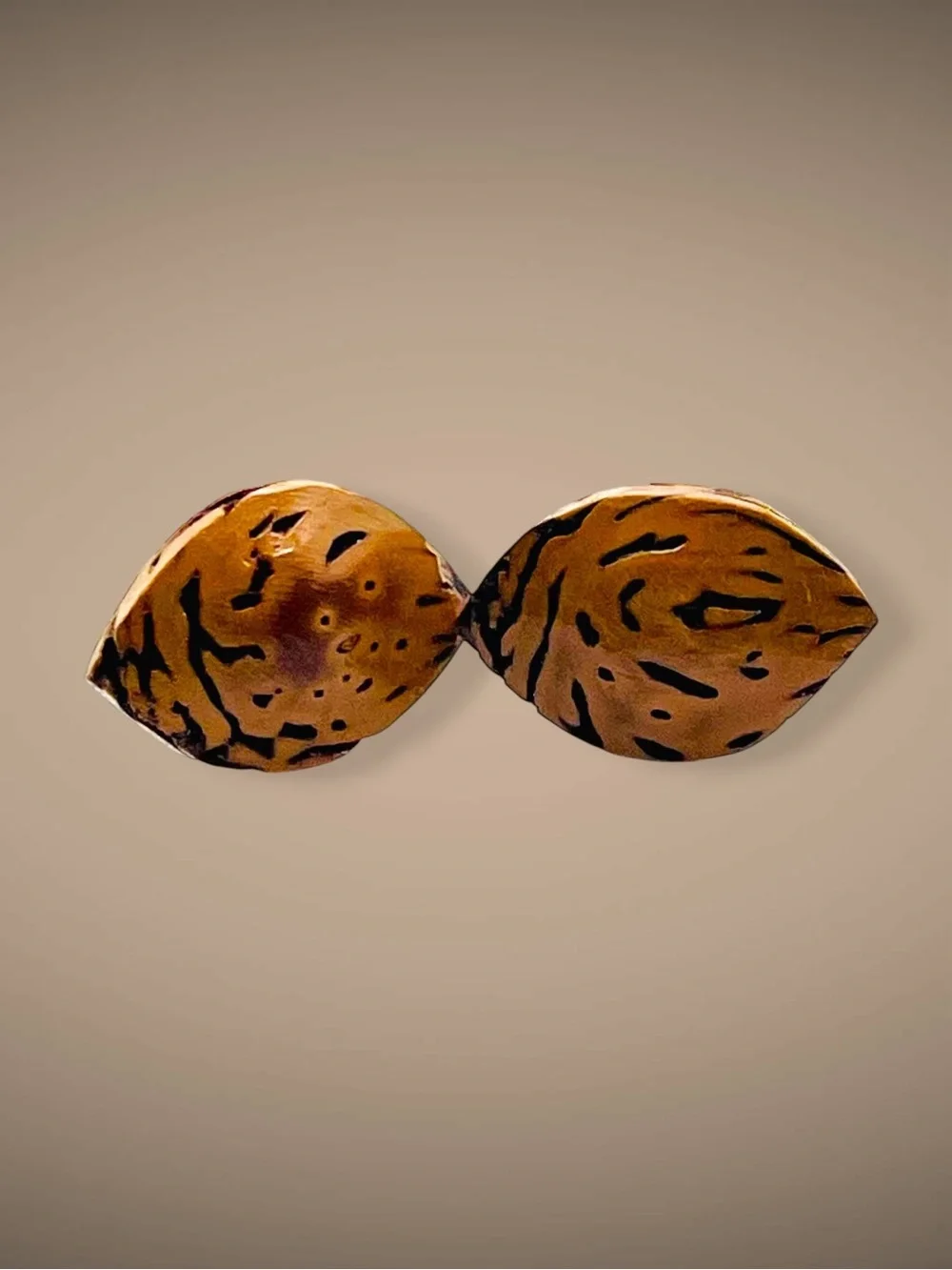 Rare Vintage Handmade Natural Seed Pod Bullet Back Cufflinks Speckled Organic